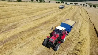 ŽNĚ 2022 ( FORTSCHRITT E516 B / ZETOR 12045 / ZETOR 16145 )