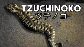 TZUCHINOKO | Criptozoologia