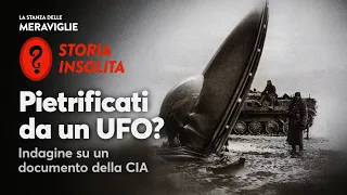 Pietrificati da un UFO? Indagine su un documento della CIA