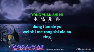 Yong yuan shi ni - 永远是你 - karaoke no vokal ( cover to lyrics pinyin)