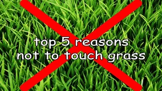 top 5 reasons not to touch grass