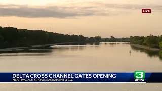 Delta Cross Channel open to boaters this weekend. Here's what to know