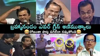 Brahmanandam Evergreen HILARIOUS Speeches | Brahmanandam Best Funny Speeches | Brahmi Comedy | DC