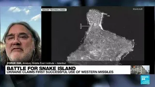Battle for Snake Island: Kyiv says it launched airstrikes causing 'significant losses' • FRANCE 24
