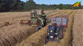 Giganten der Vergangenheit - Claas Matador Gigant Mähdrescher und Lanz Bulldog Getreideernte