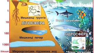 Людина і біосфера географія біологія Планета Земля