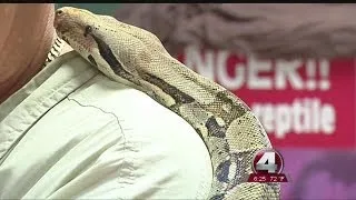 Viewers Voice: Push to ban certain snakes stirs debate