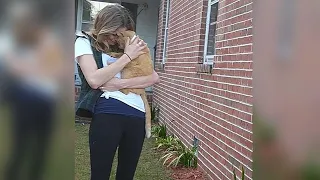 Cat Jumps Back Into His Mom's Arms After Being Lost For 536 Days