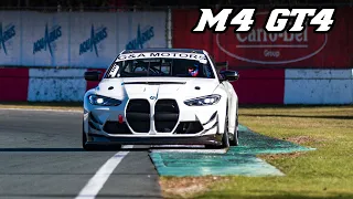 2023 BMW G82 M4 GT4 | Exhaust sound, flybys & Downshifts | Circuit Zolder