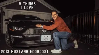 5 Things I LOVE About the 2019 Ford Mustang EcoBoost