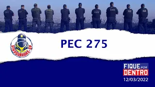 PEC 275 - Fique por Dentro 12/03/2022 - SindGuardas-SP