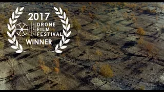 THE EAGLE HUNTRESS - 2017 Los Angeles Drone Film Festival Winner