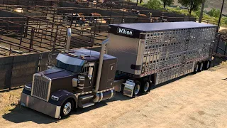Mooovin' Some Cattle with the updated Ruda Highway Killer W900! ATS 1.49 plus ATS Expansion map.