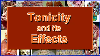 Red Blood Cells, Osmosis, and the Tonicity Experiment