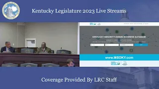 Commission on Race & Access to Opportunity (8-22-23)