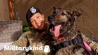 Airman and military dog bonded for life after deployment | Militarykind