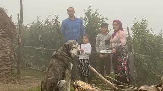 IRAN Nomadic Life! Making a Garden and Planting Vegetables for Daily Consumption