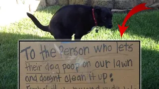 Fed-Up With Dog Feces In Her Yard, Woman Gets Perfect Revenge