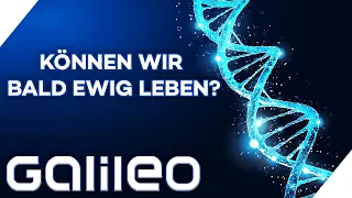 Ewiges Leben - Wunschvorstellung oder bald Realität? | Galileo | ProSieben