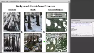 How Will Forests Affect Mountain Snow Storage in a Warming Climate?