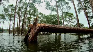 Hurricane Sally Drone Footage Flooding Pensacola Florida