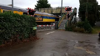 Trains At Trimley station 2/8/23 | Freight action going to and From Felixstowe port #trimley #train