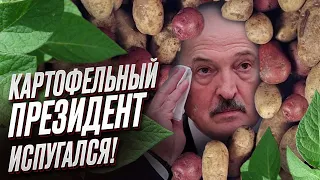 👀 Лукашенко внезапно дал заднюю!