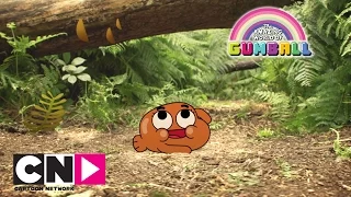 ♬ Sur le chemin ♪, la chanson de Darwin | Le Monde Incroyable de Gumball | Cartoon Network