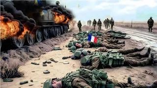 Brutal Ambush! 1500 French troops were crushed by Russian troops on the border