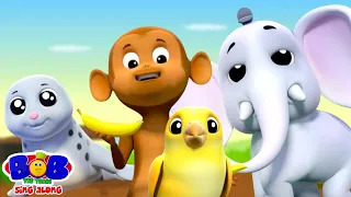 Going To The Zoo, Animal Sound Song and Kids Rhymes by Bob The Train