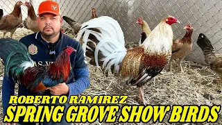 Roberto Ramirez Spring Grove Show Birds Hollister CA - Big Farm