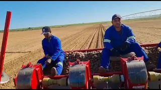 Landini 165 equipped Fjd autosteer in South Africa