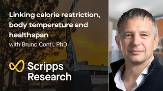 Linking calorie restriction, body temperature and healthspan with Bruno Conti, PhD