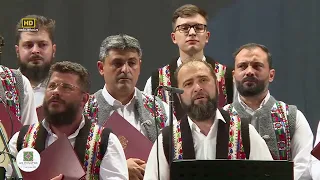 Tronos & Trei Parale - Până când nu te iubeam  | IBMF 2022