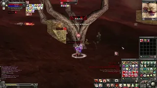 9dragons Hardcore pvp test