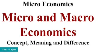 Micro and Macro Economics in hindi, micro and macro economics difference, Micro Economics bcom