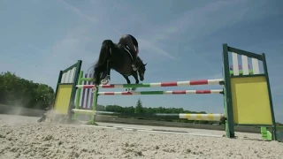 Hipismo Clássico- Paixão Pelos Cavalos -Easy Go