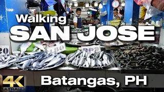 The Simple Life in SAN JOSE Batangas Philippines - Walking Tour [4K]