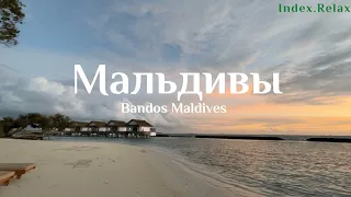 Осень на Мальдивах. Наслаждаемся отдыхом в Bandos Maldives