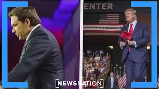Rivalry intensifies between Trump and DeSantis |  NewsNation Now