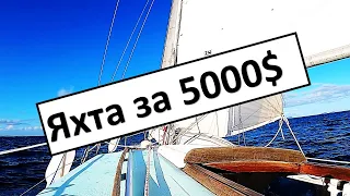 Яхта за 5000$ в Новой Зеландии