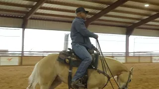 Spurs, Or No Spurs...  Instantly Put Confidence Back In Your Horse