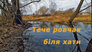 Тече ровчак через ліс.  Rovchak flows through the forest.