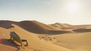 Decompress In The Dunes - Change | Mindful Escapes |  BBC Earth