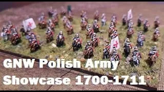 Great Northern War - 6mm Polish Army - Showcase