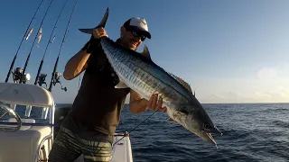 Spanish Mackerel DownRigging Bag Out