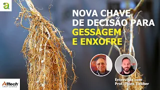 # 88 - Gessagem e enxofre - Nova chave para decisão para suas aplicações/Entrev. Prof. Tales Tiecher