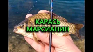 МОРМЫШИНГ. КАРАСЬ МАРСИАНИН