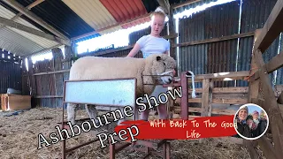 RYELAND SHOW PREPARATION : getting our sheep ready for the Ashbourne Show
