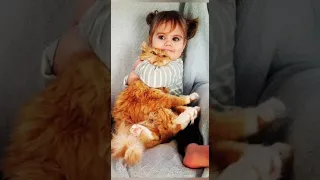 Funny animals 2023😆 - Funniest Cats and Dogs Video🐕🐈227 #shorts